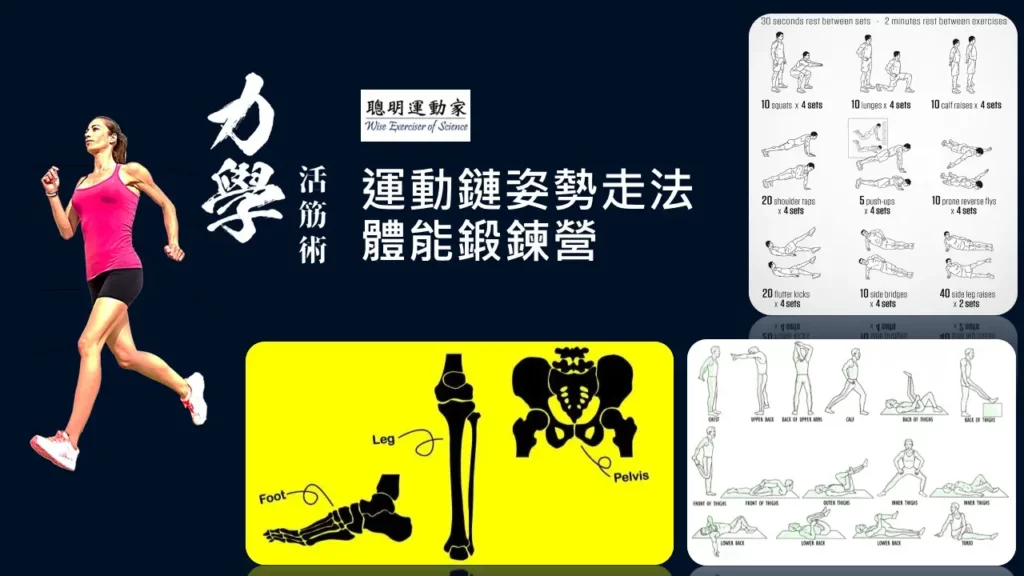 運動鏈 運動鏈姿勢走法體能鍛鍊營 new cover