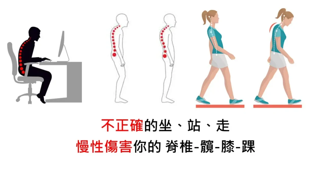錯誤的坐站走造成髖膝踝等關節問題
